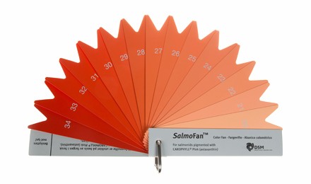 salmon color ruler