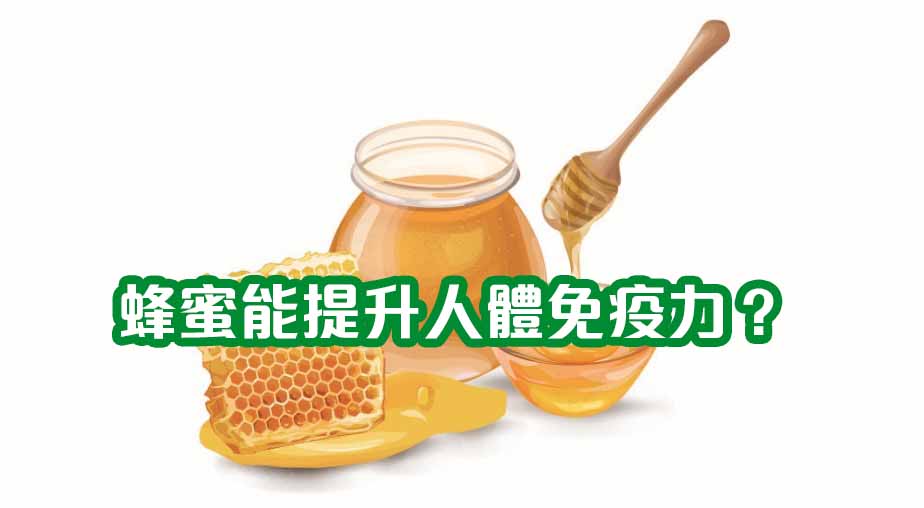 蜂蜜能提升人體免疫力？